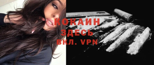 индика Бугульма