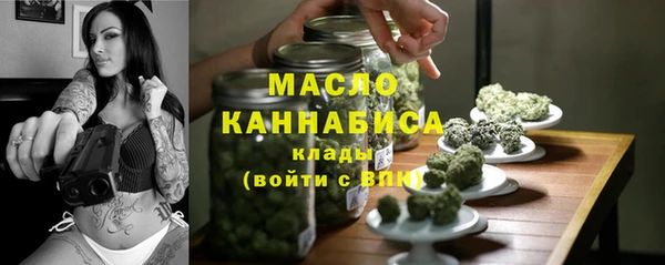 индика Бугульма