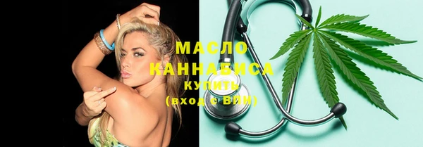 индика Бугульма
