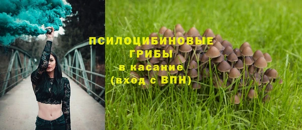 индика Бугульма