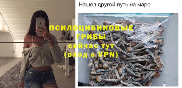 индика Бугульма