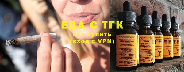 индика Бугульма